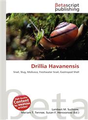 Drillia Havanensis,6136358107,9786136358109