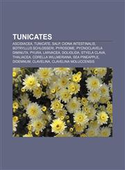 Tunicates Ascidiacea, Tunicate, Salp, Ciona intestinalis, Botryllus schlosseri, Pyrosome, Pycnoclavela diminuta, Pyura, Larvacea, Doliolida,1157485545,9781157485544