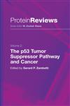 The P53 Tumor Suppressor Pathway and Cancer,0387241353,9780387241357