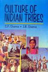 Culture of Indian Tribes 2 Vols. 1st Edition,8174871136,9788174871138