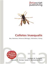 Colletes Inaequalis,6136089874,9786136089874