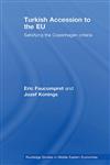 Turkish Accession to the EU Satisfying the Copenhagen Criteria,0415457130,9780415457132