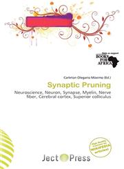 Synaptic Pruning,6200446040,9786200446046