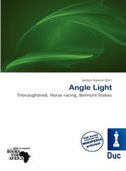 Angle Light,6201159983,9786201159983
