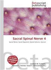 Sacral Spinal Nerve 4,6131135991,9786131135996