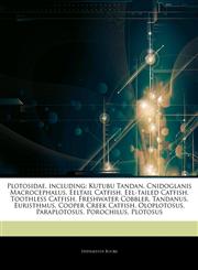 Articles On Plotosidae, including Kutubu Tandan, Cnidoglanis Macrocephalus, Eeltail Catfish, Eel-tailed Catfish, Toothless Catfish, Freshwater Cobbler, Tandanus, Euristhmus, Cooper Creek Catfish, Oloplotosus, Paraplotosus, Porochilus,1244728403,9781244728400