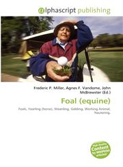 Foal (equine),6135534572,9786135534573