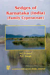 Sedges of Karnataka (India) Family Cyperaceae 1st Edition,817233303X,9788172333034