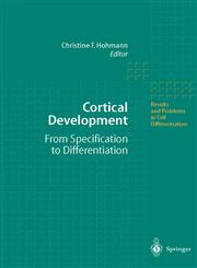 Cortical Development From Specification to Differentiation,3540434364,9783540434368
