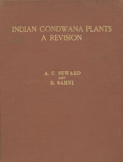 Indian Gondwana Plants A Revision