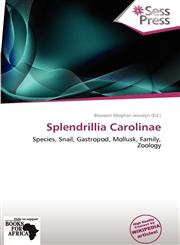 Splendrillia Carolinae,6138583078,9786138583073