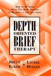 Depth Oriented Brief Therapy: How to Be Brief When You Were Trained to Be Deep and Vice Versa (Jossey Bass Social and Behavioral Science Series),0787901520,9780787901523