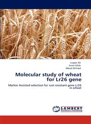 Molecular Study of Wheat for Lr26 Gene,3846588229,9783846588222