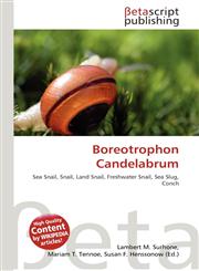 Boreotrophon Candelabrum,6137523314,9786137523315