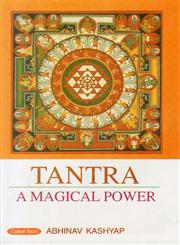 Tantra A Magical Power 1st Edition,817884978X,9788178849782