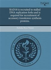 RAD18 is recruited to stalled DNA replication forks and is required for recruitment of accessory translesion synthesis proteins.,1243505095,9781243505095