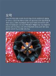 Olag Galaoke, Geim, Gwangwang, Deulama, Masaji, Masul, Midieo Peulaenchaijeu, Bulkkochnol-I, Seokeoseu, Seupocheu, Aenimeisyeon, Yeonghwa,1233935968,9781233935963