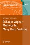 Brillouin-Wigner Methods for Many-Body Systems,9048133726,9789048133727