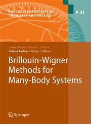 Brillouin-Wigner Methods for Many-Body Systems,9048133726,9789048133727