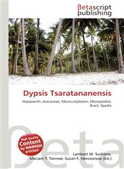 Dypsis Tsaratananensis,6136405377,9786136405377
