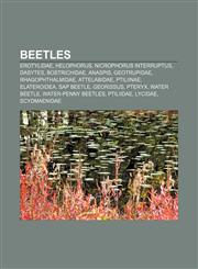 Beetles Erotylidae, Helophorus, Nicrophorus interruptus, Dasytes, Bostrichidae, Anaspis, Geotrupidae, Rhagophthalmidae, Attelabidae, Ptiliinae,1233895508,9781233895502