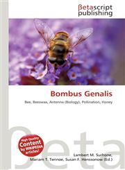 Bombus Genalis,6136100517,9786136100517