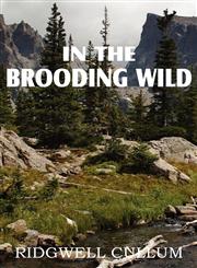 In the Brooding Wild,1612032419,9781612032412