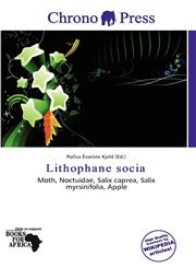Lithophane socia,613776690X,9786137766903