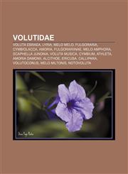 Volutidae Voluta ebraea, Lyria, Melo melo, Fulgoraria, Cymbiolacca, Amoria, Fulgorariinae, Melo amphora, Scaphella junonia, Voluta musica,1155610210,9781155610214