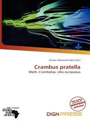 Crambus pratella,6138373642,9786138373643