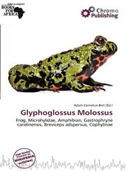 Glyphoglossus Molossus,6139733294,9786139733293