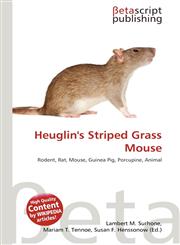 Heuglin's Striped Grass Mouse,6135413147,9786135413144