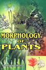 Morphology of Plants 1st Edition,817141821X,9788171418213