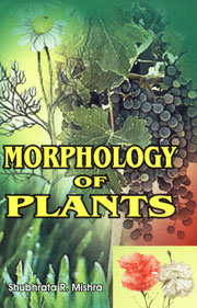 Morphology of Plants 1st Edition,817141821X,9788171418213