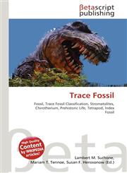 Trace Fossil,6130384696,9786130384692