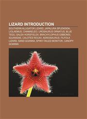 Lizard Introduction Southern Alligator Lizard, Japalura splendida, Liolaemus, Chamaeleo, Urosaurus ornatus, Blue tegu, Salea horsfieldii,1151469688,9781151469687
