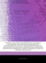 Articles On Madieae, including Argyroxiphium, Haleakala Silversword, Argyroxiphium Sandwicense, Argyroxiphium Caliginis, Argyroxiphium Kauense, Argyroxiphium Virescens, Argyroxiphium Grayanum, Mauna Kea Silversword, Dubautia Arborea,1244792683,9781244792685