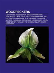 Woodpeckers Ivory-billed Woodpecker, Green Woodpecker, Black-rumped Flameback, Northern Flicker, Great Spotted Woodpecker,1157047459,9781157047452