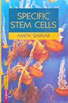 Specific Stem Cells,8183564011,9788183564014