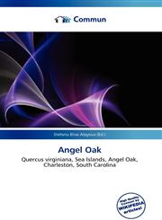 Angel Oak,6135679686,9786135679687