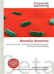 Borrelia Anserina,6137641988,9786137641989