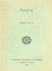Ixora