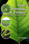 Plant Pathology at a Glance Encyclopedia of Plant Pathology : For Students of General Botany, Microbiology, Mycology, Plant Bacteriology, Plant Virology, Plant Nematology and Plant Pathology,8172335202,9788172335205