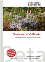 Orobanche Vallicola,6136356848,9786136356846