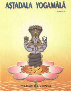 Astadala Yogamala : Interviews Vol. 6,8177649760,9788177649765