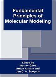 Fundamental Principles of Molecular Modeling,0306453053,9780306453052