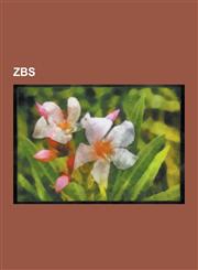 Zbs Bill Raymond, Do That in Real Life, Dreams of Bali, Dreams of India, Dreams of Rio, Dreams of Sumatra, Dreams of the a,1230614168,9781230614168