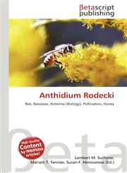 Anthidium Rodecki,6136093332,9786136093338