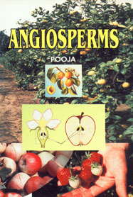 Angiosperms,8171417884,9788171417889