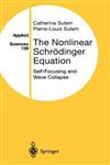 The Nonlinear Schrödinger Equation Self-Focusing and Wave Collapse,0387986111,9780387986111